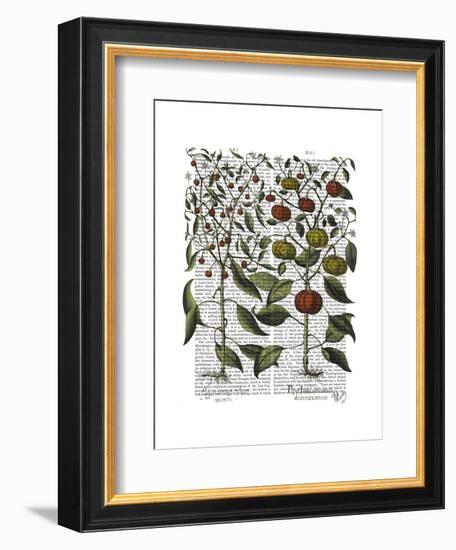 Peppers 4-Fab Funky-Framed Art Print