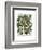 Peppers 5-Fab Funky-Framed Art Print