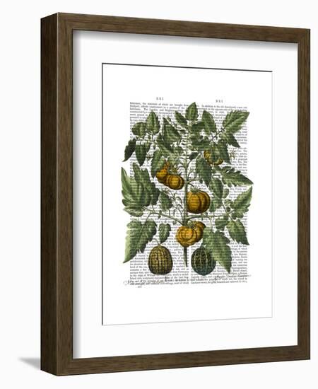 Peppers 5-Fab Funky-Framed Art Print