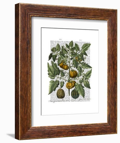 Peppers 5-Fab Funky-Framed Art Print