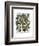 Peppers 5-Fab Funky-Framed Art Print