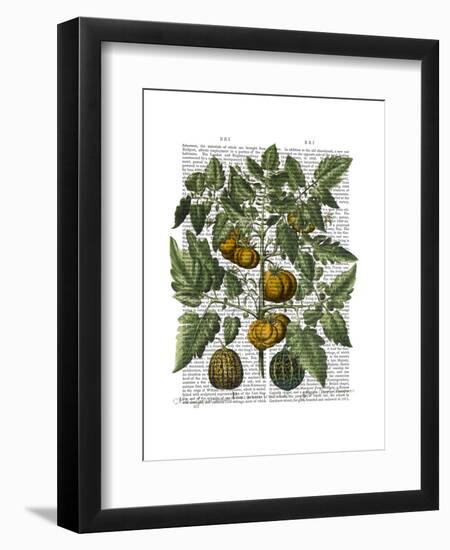 Peppers 5-Fab Funky-Framed Art Print