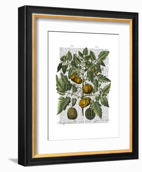 Peppers 5-Fab Funky-Framed Art Print