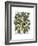 Peppers 5-Fab Funky-Framed Art Print