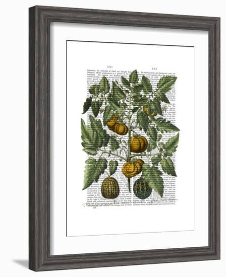 Peppers 5-Fab Funky-Framed Art Print