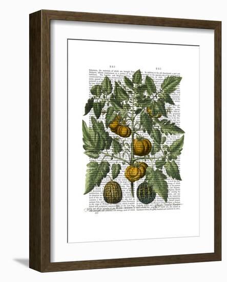 Peppers 5-Fab Funky-Framed Art Print