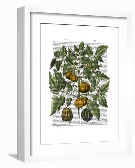 Peppers 5-Fab Funky-Framed Art Print