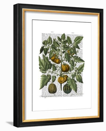 Peppers 5-Fab Funky-Framed Art Print