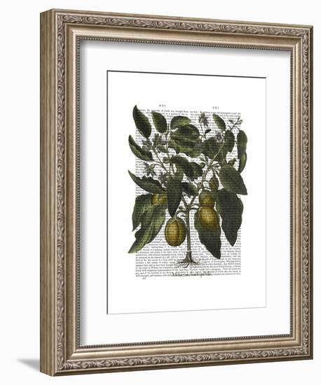 Peppers 6-Fab Funky-Framed Art Print