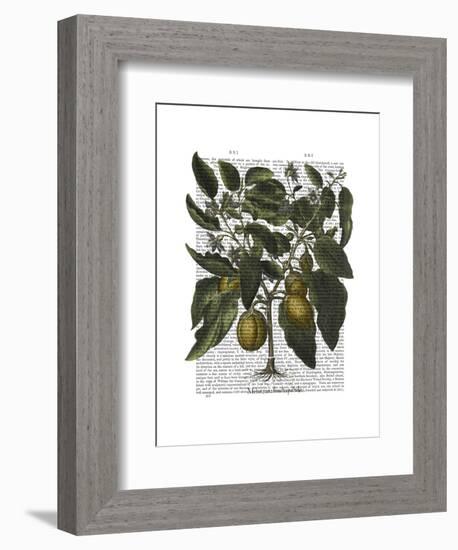 Peppers 6-Fab Funky-Framed Art Print