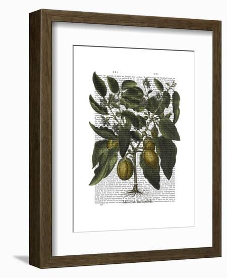 Peppers 6-Fab Funky-Framed Art Print