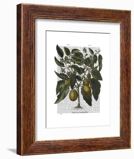 Peppers 6-Fab Funky-Framed Art Print