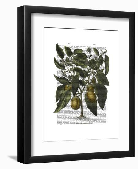 Peppers 6-Fab Funky-Framed Art Print