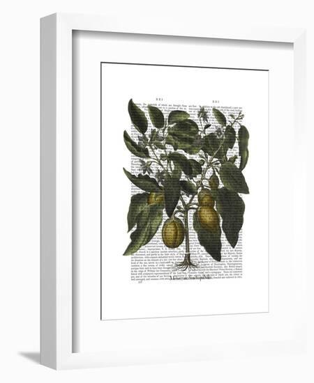 Peppers 6-Fab Funky-Framed Art Print