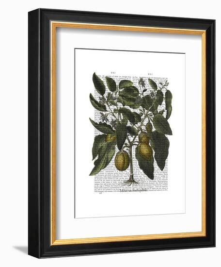 Peppers 6-Fab Funky-Framed Art Print