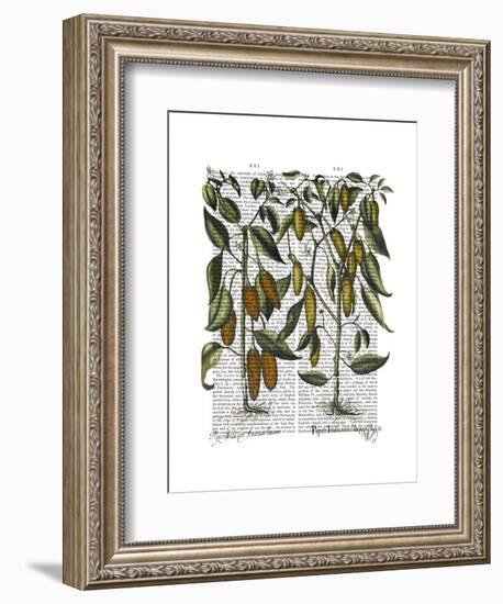 Peppers 7-Fab Funky-Framed Art Print