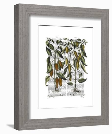 Peppers 7-Fab Funky-Framed Art Print