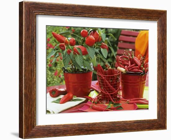 Peppers and Chili Peppers in Red Enamel Buckets-Friedrich Strauss-Framed Photographic Print
