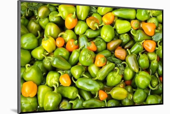 Peppers at a farmers market in the fall, New York City, NY, USA.-Julien McRoberts-Mounted Photographic Print