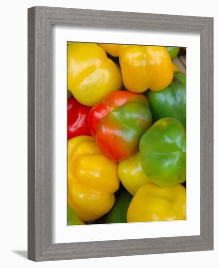 Peppers at Open-Air Market, Lake Maggiore, Arona, Italy-Lisa S. Engelbrecht-Framed Photographic Print