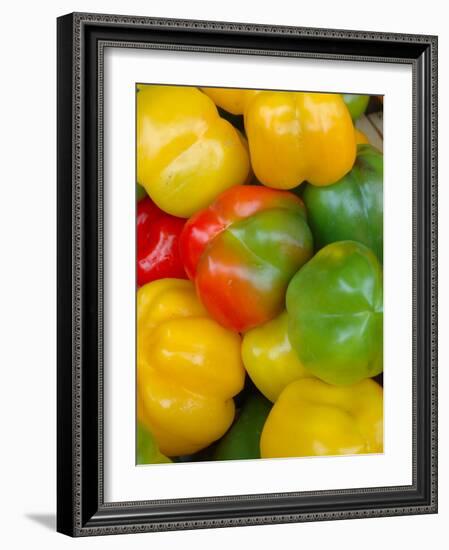 Peppers at Open-Air Market, Lake Maggiore, Arona, Italy-Lisa S. Engelbrecht-Framed Photographic Print