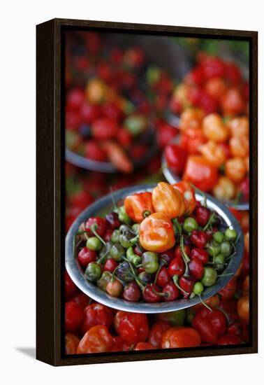 Peppers at Sao Joaquim Market, Salvador (Salvador de Bahia), Bahia, Brazil, South America-Yadid Levy-Framed Premier Image Canvas