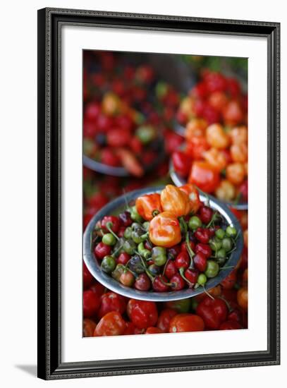 Peppers at Sao Joaquim Market, Salvador (Salvador de Bahia), Bahia, Brazil, South America-Yadid Levy-Framed Photographic Print