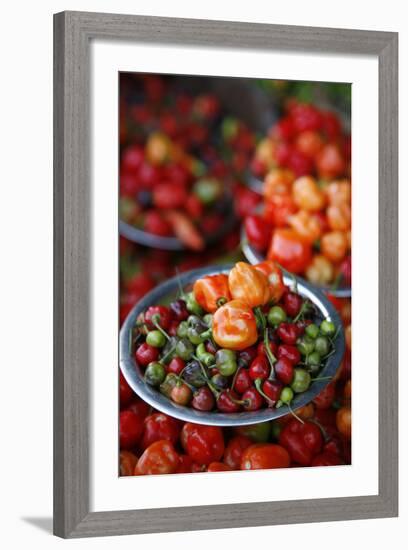 Peppers at Sao Joaquim Market, Salvador (Salvador de Bahia), Bahia, Brazil, South America-Yadid Levy-Framed Photographic Print