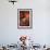 Peppers at Sao Joaquim Market, Salvador (Salvador de Bahia), Bahia, Brazil, South America-Yadid Levy-Framed Photographic Print displayed on a wall