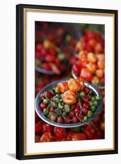 Peppers at Sao Joaquim Market, Salvador (Salvador de Bahia), Bahia, Brazil, South America-Yadid Levy-Framed Photographic Print