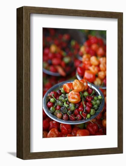 Peppers at Sao Joaquim Market, Salvador (Salvador de Bahia), Bahia, Brazil, South America-Yadid Levy-Framed Photographic Print