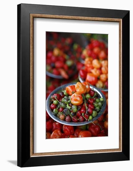 Peppers at Sao Joaquim Market, Salvador (Salvador de Bahia), Bahia, Brazil, South America-Yadid Levy-Framed Photographic Print