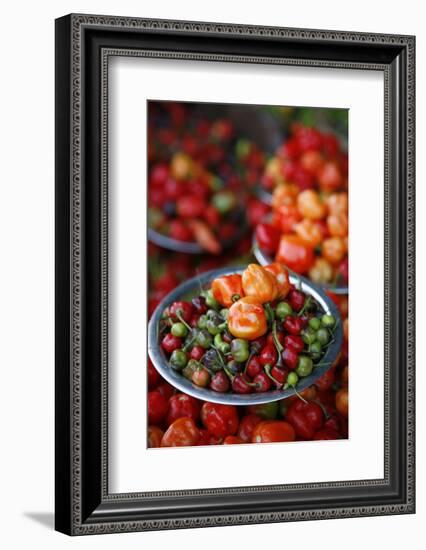 Peppers at Sao Joaquim Market, Salvador (Salvador de Bahia), Bahia, Brazil, South America-Yadid Levy-Framed Photographic Print