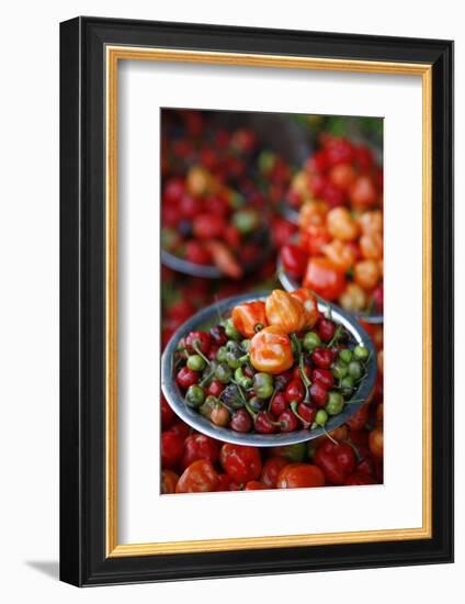 Peppers at Sao Joaquim Market, Salvador (Salvador de Bahia), Bahia, Brazil, South America-Yadid Levy-Framed Photographic Print