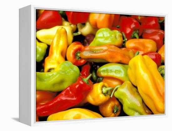 Peppers, Ferry Building Farmer's Market, San Francisco, California, USA-Inger Hogstrom-Framed Premier Image Canvas