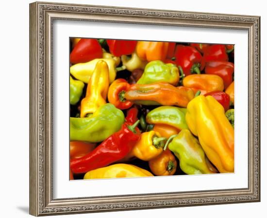 Peppers, Ferry Building Farmer's Market, San Francisco, California, USA-Inger Hogstrom-Framed Photographic Print