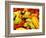 Peppers, Ferry Building Farmer's Market, San Francisco, California, USA-Inger Hogstrom-Framed Photographic Print