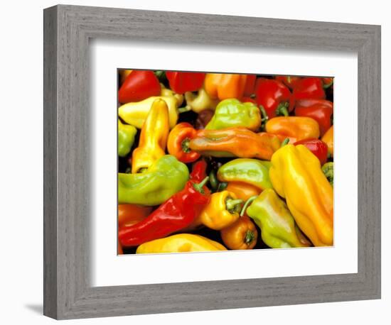 Peppers, Ferry Building Farmer's Market, San Francisco, California, USA-Inger Hogstrom-Framed Photographic Print