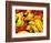 Peppers, Ferry Building Farmer's Market, San Francisco, California, USA-Inger Hogstrom-Framed Photographic Print