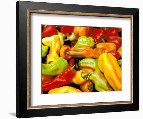 Peppers, Ferry Building Farmer's Market, San Francisco, California, USA-Inger Hogstrom-Framed Photographic Print