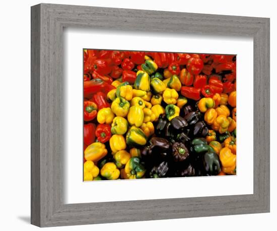 Peppers, Ferry Building Farmer's Market, San Francisco, California, USA-Inger Hogstrom-Framed Photographic Print