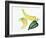 Peppers Hot and Cool-Joanne Porter-Framed Giclee Print