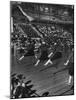 Peppy High School Girl Cheerleaders During their Cheers at the Basketball Game-Francis Miller-Mounted Photographic Print