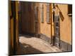 Photographic Print