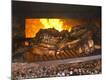 Premium Photographic Print