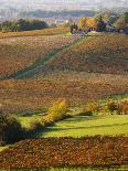 View Over the Vineyards in Bergerac, Chateau Belingard, Bergerac, Dordogne, France-Per Karlsson-Photographic Print