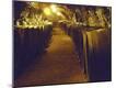 Premium Photographic Print