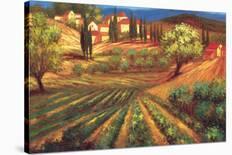 Village de Vinci-Per Mattin-Stretched Canvas