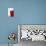 Peragrine falcon perched on top of skyscraper, Spain-Oriol Alamany-Photographic Print displayed on a wall