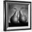 Peras enamoradas-Moises Levy-Framed Photographic Print